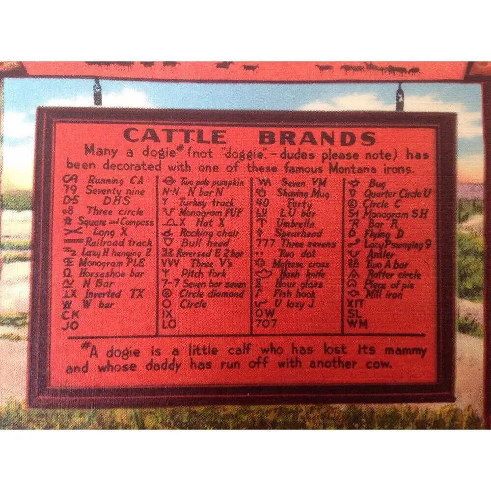 Vintage Montana Cattle Brands Linen Westland Views Color Postcard Unposted